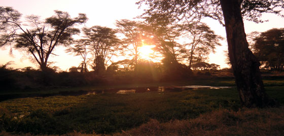 Kenia - Reise